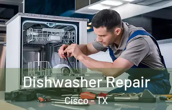  Dishwasher Repair Cisco - TX