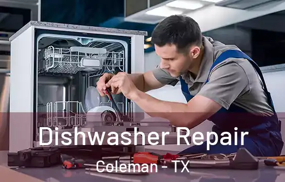  Dishwasher Repair Coleman - TX
