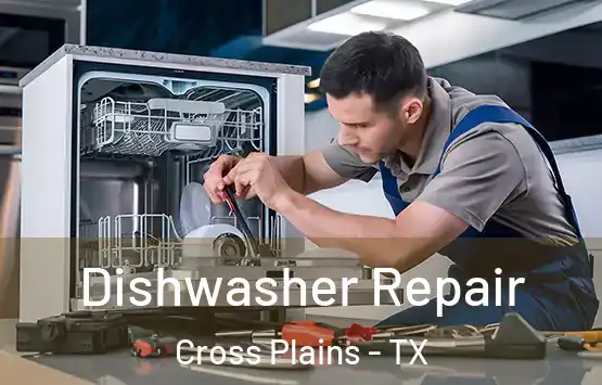  Dishwasher Repair Cross Plains - TX