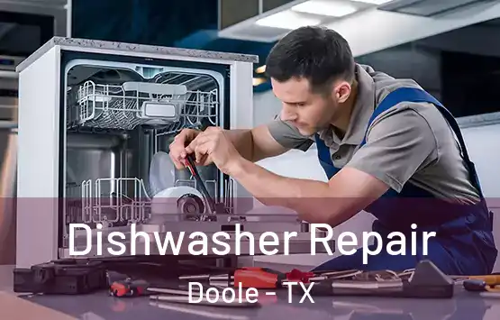  Dishwasher Repair Doole - TX