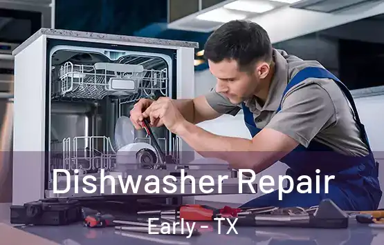  Dishwasher Repair Early - TX