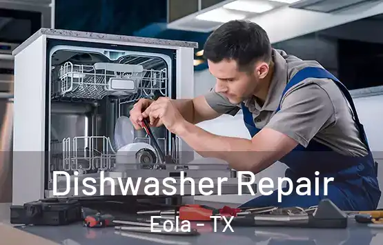  Dishwasher Repair Eola - TX