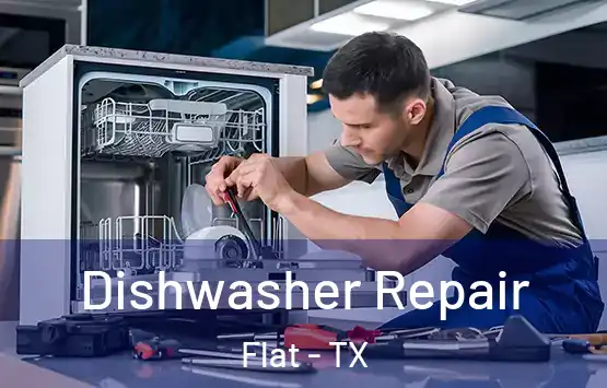  Dishwasher Repair Flat - TX