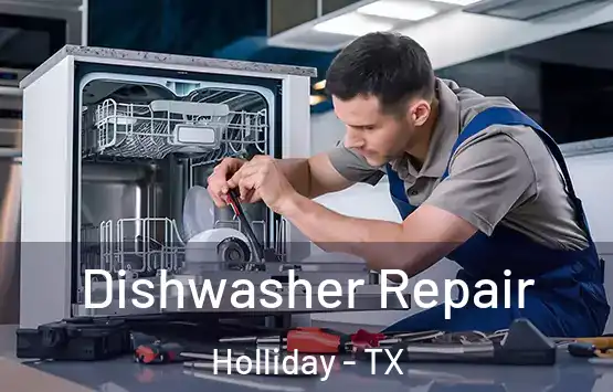  Dishwasher Repair Holliday - TX