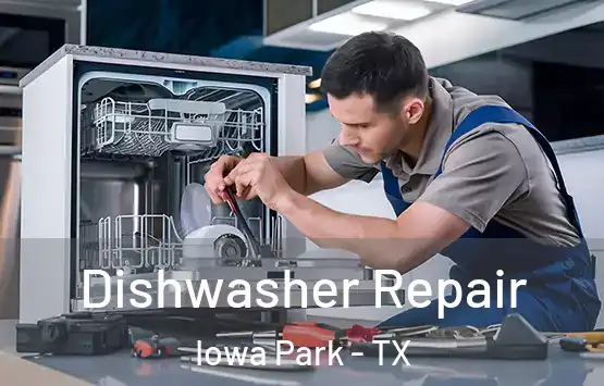  Dishwasher Repair Iowa Park - TX