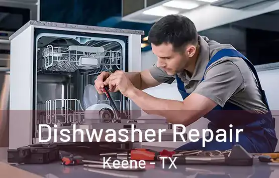  Dishwasher Repair Keene - TX