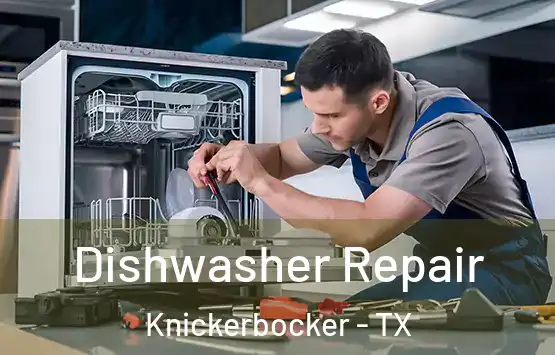  Dishwasher Repair Knickerbocker - TX