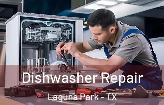  Dishwasher Repair Laguna Park - TX