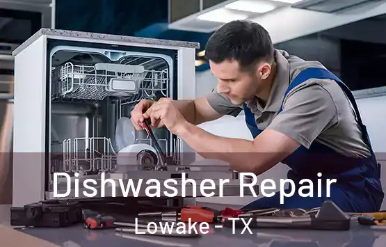  Dishwasher Repair Lowake - TX
