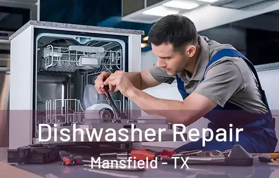  Dishwasher Repair Mansfield - TX