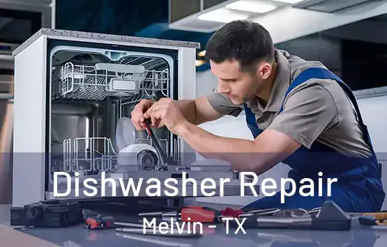  Dishwasher Repair Melvin - TX