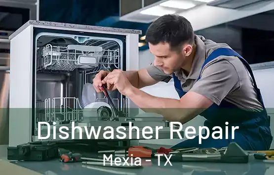  Dishwasher Repair Mexia - TX