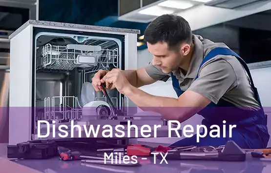  Dishwasher Repair Miles - TX
