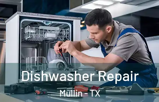  Dishwasher Repair Mullin - TX