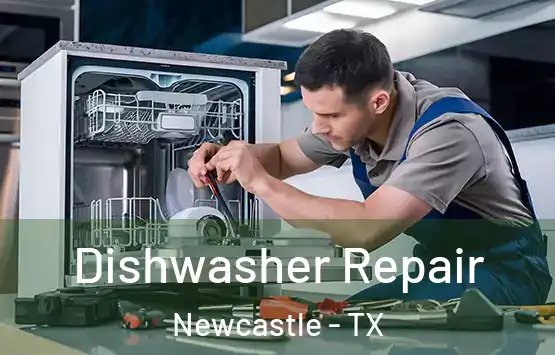  Dishwasher Repair Newcastle - TX