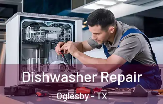  Dishwasher Repair Oglesby - TX