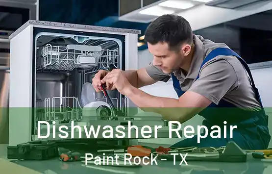  Dishwasher Repair Paint Rock - TX