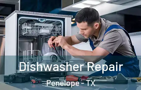  Dishwasher Repair Penelope - TX