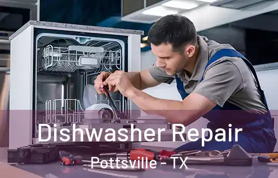  Dishwasher Repair Pottsville - TX