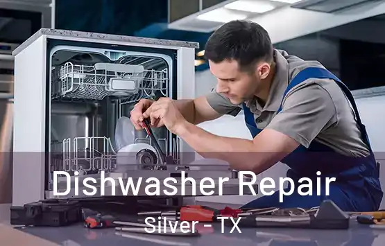  Dishwasher Repair Silver - TX