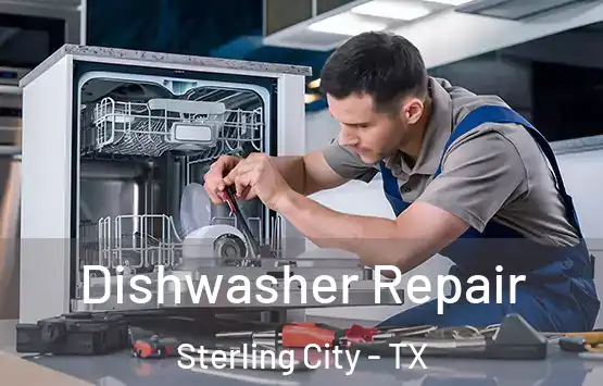  Dishwasher Repair Sterling City - TX