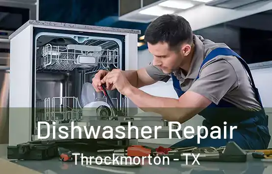  Dishwasher Repair Throckmorton - TX