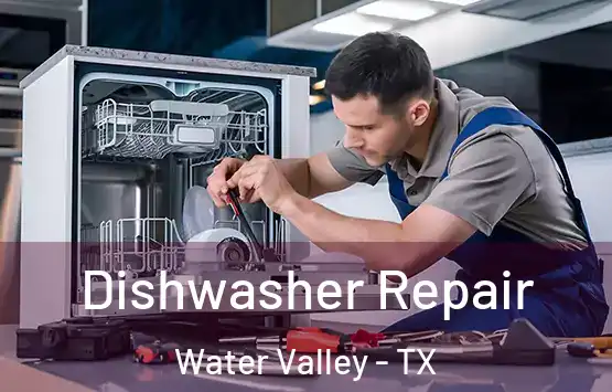 Dishwasher Repair Water Valley - TX