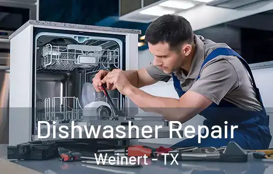  Dishwasher Repair Weinert - TX