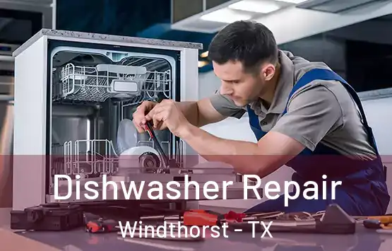  Dishwasher Repair Windthorst - TX
