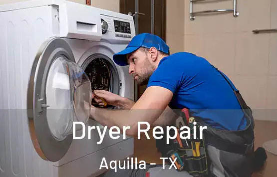  Dryer Repair Aquilla - TX