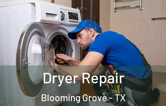  Dryer Repair Blooming Grove - TX