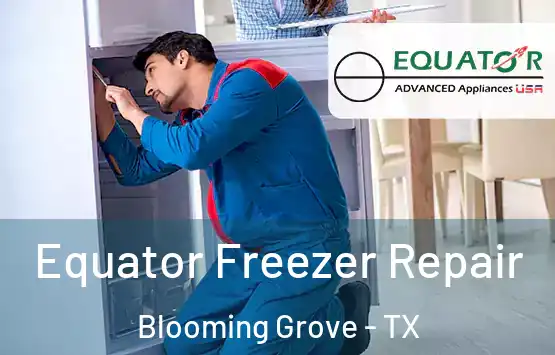 Equator Freezer Repair Blooming Grove - TX