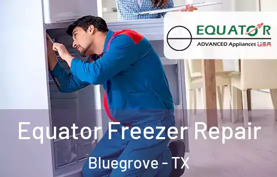  Equator Freezer Repair Bluegrove - TX