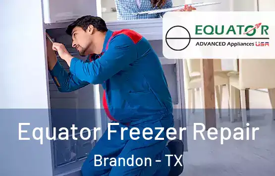  Equator Freezer Repair Brandon - TX