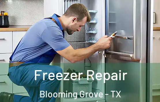  Freezer Repair Blooming Grove - TX