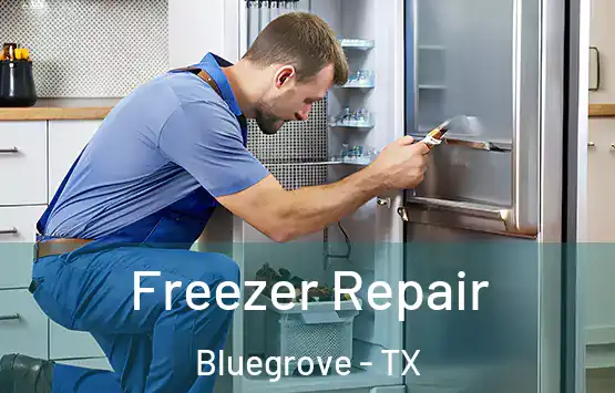  Freezer Repair Bluegrove - TX