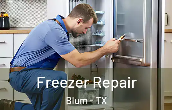  Freezer Repair Blum - TX