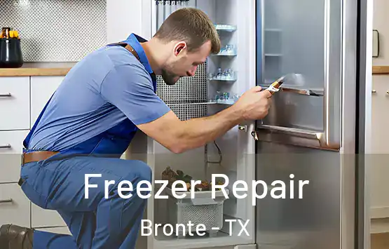  Freezer Repair Bronte - TX