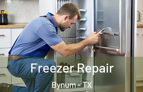  Freezer Repair Bynum - TX