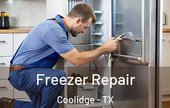  Freezer Repair Coolidge - TX