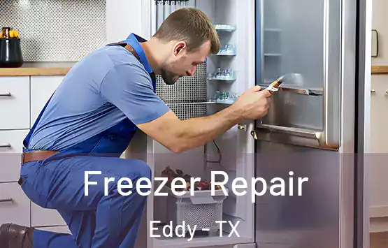  Freezer Repair Eddy - TX