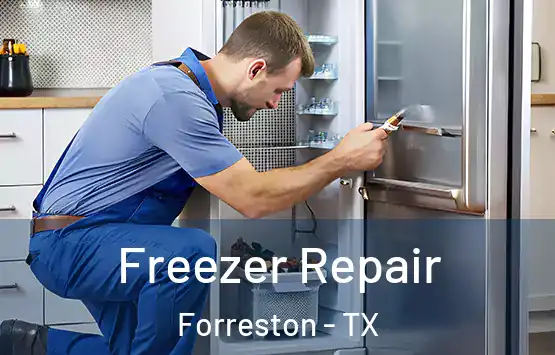  Freezer Repair Forreston - TX