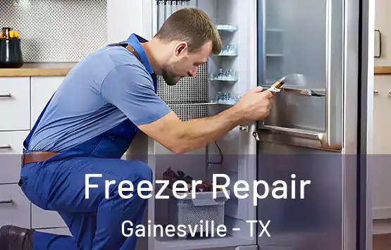  Freezer Repair Gainesville - TX