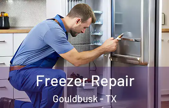  Freezer Repair Gouldbusk - TX