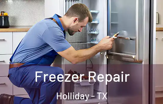  Freezer Repair Holliday - TX