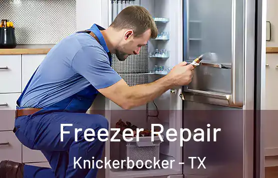  Freezer Repair Knickerbocker - TX