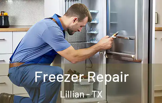  Freezer Repair Lillian - TX