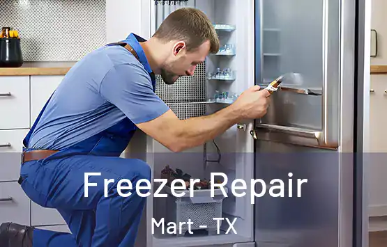  Freezer Repair Mart - TX