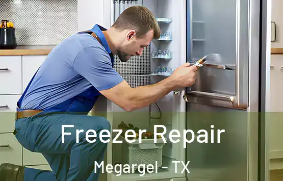  Freezer Repair Megargel - TX
