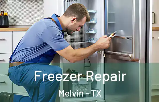  Freezer Repair Melvin - TX
